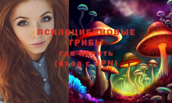 стаф Баксан