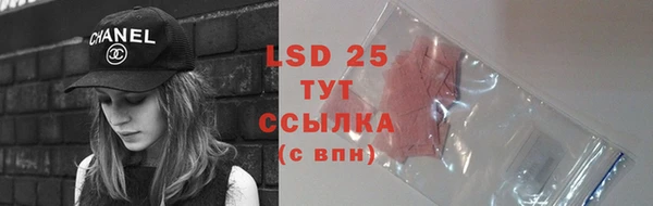 стаф Баксан