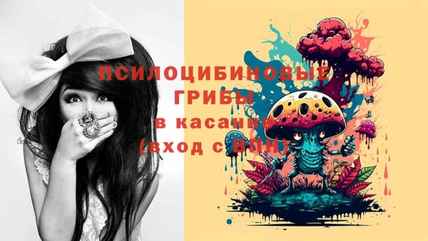 прущий лед Покров