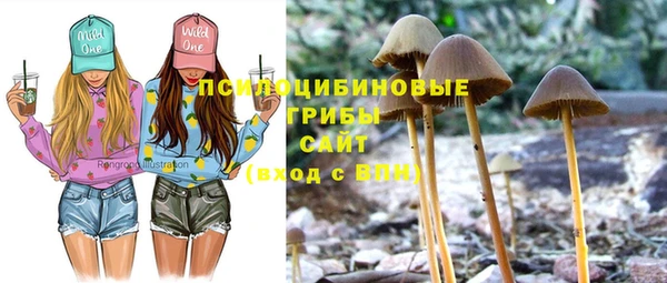 дживик Покровск