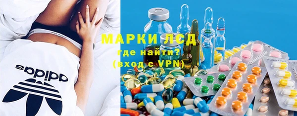 стаф Баксан