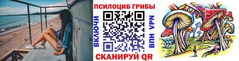 blacksprut ONION  Жуков  Псилоцибиновые грибы мухоморы  что такое  